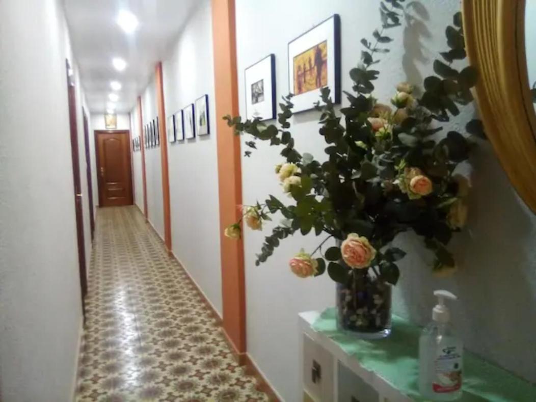 Las Golondrinas Zaragoza Habitacion Individual Extérieur photo
